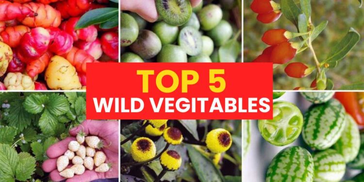 Top 5 Wild Vegetables