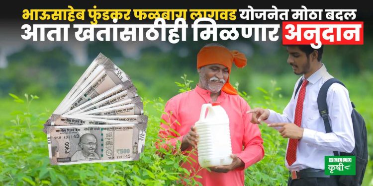 Government Subsidy for Fertiliser