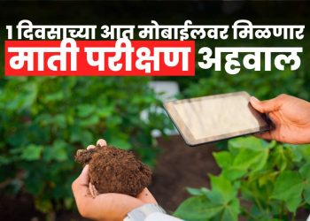 Soil Testing