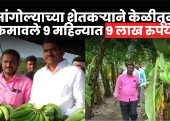 Success Story Pratap Lendve