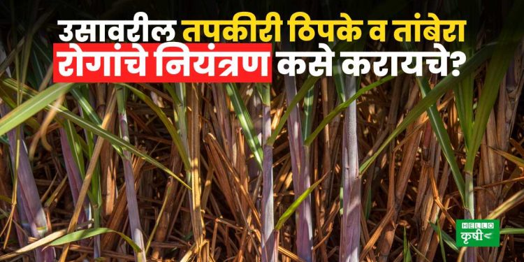 Sugarcane Farming Tips