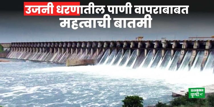 Ujani Dam News