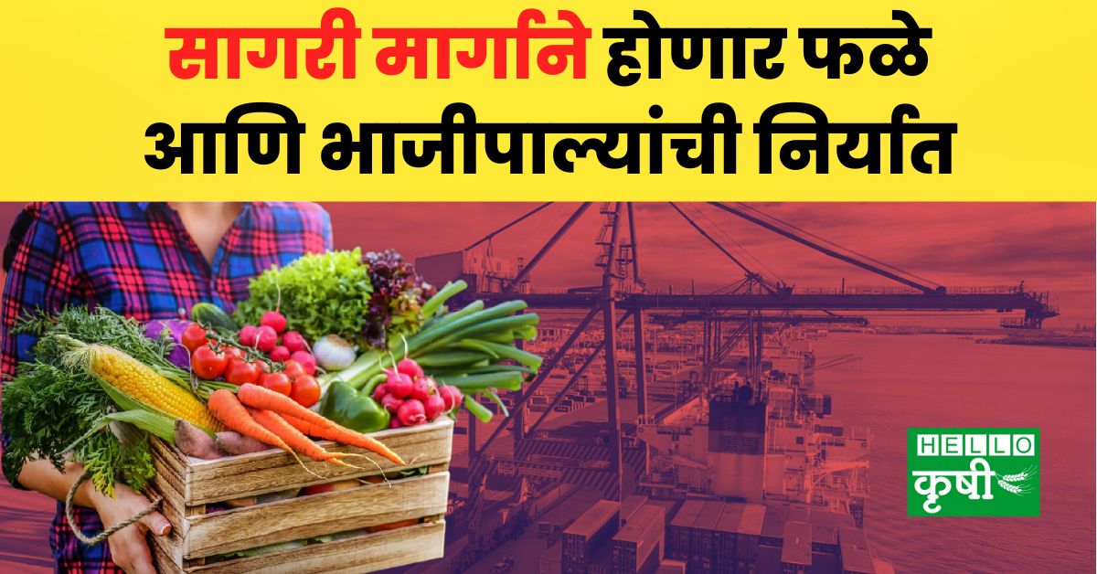 Export Of Fruits And Vegetables