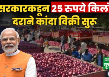 Onion Sale By Central Government