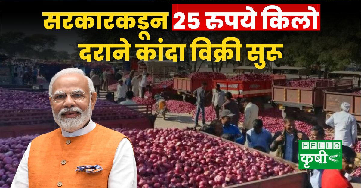 Onion Sale By Central Government