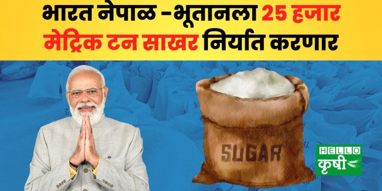 Sugar Export
