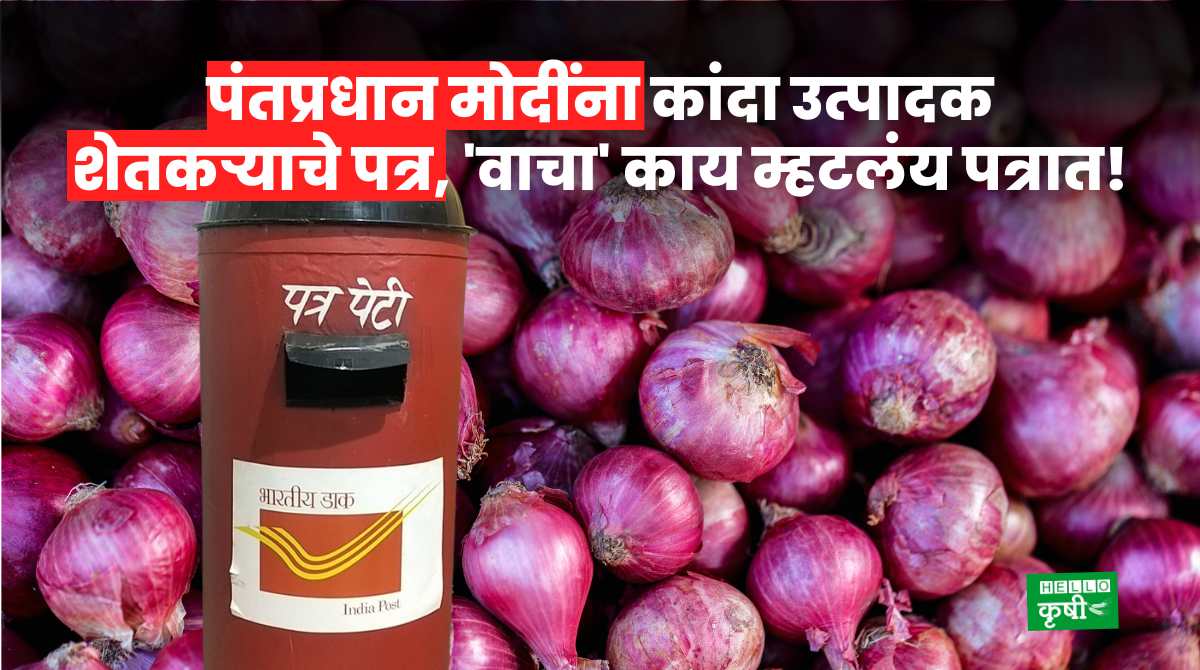 Onion Purchase Farmer's letter to PM Modi