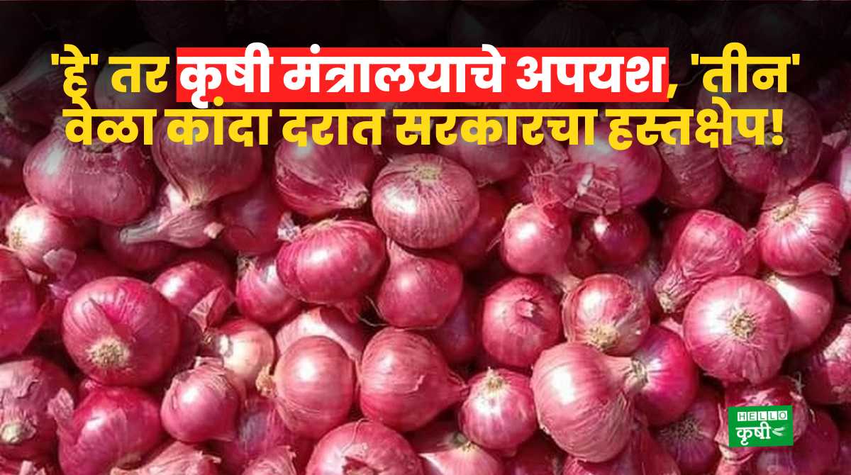 Onion Rate Failure Of Agriculture Ministry