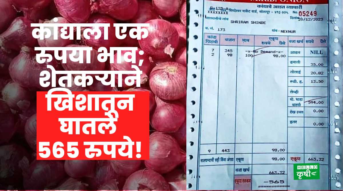 Onion Rate Farmer RS 565 from Pocket