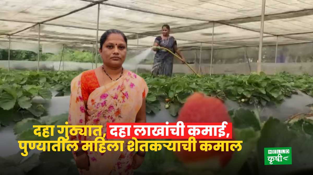Success Story Of Strawberry Woman Farmer