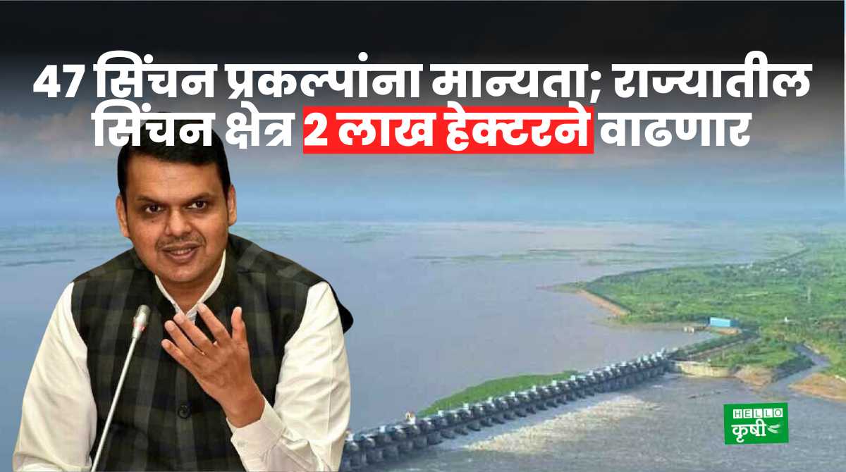 Vidarbha Irrigation Approval Of 47 Projects