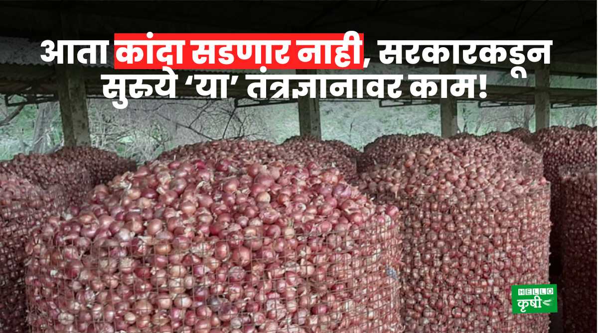 AI For Onion Spoilage In India