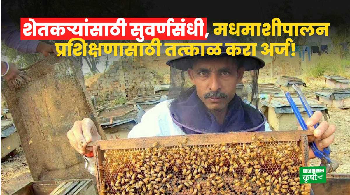 Bee Keeping Training For Farmers