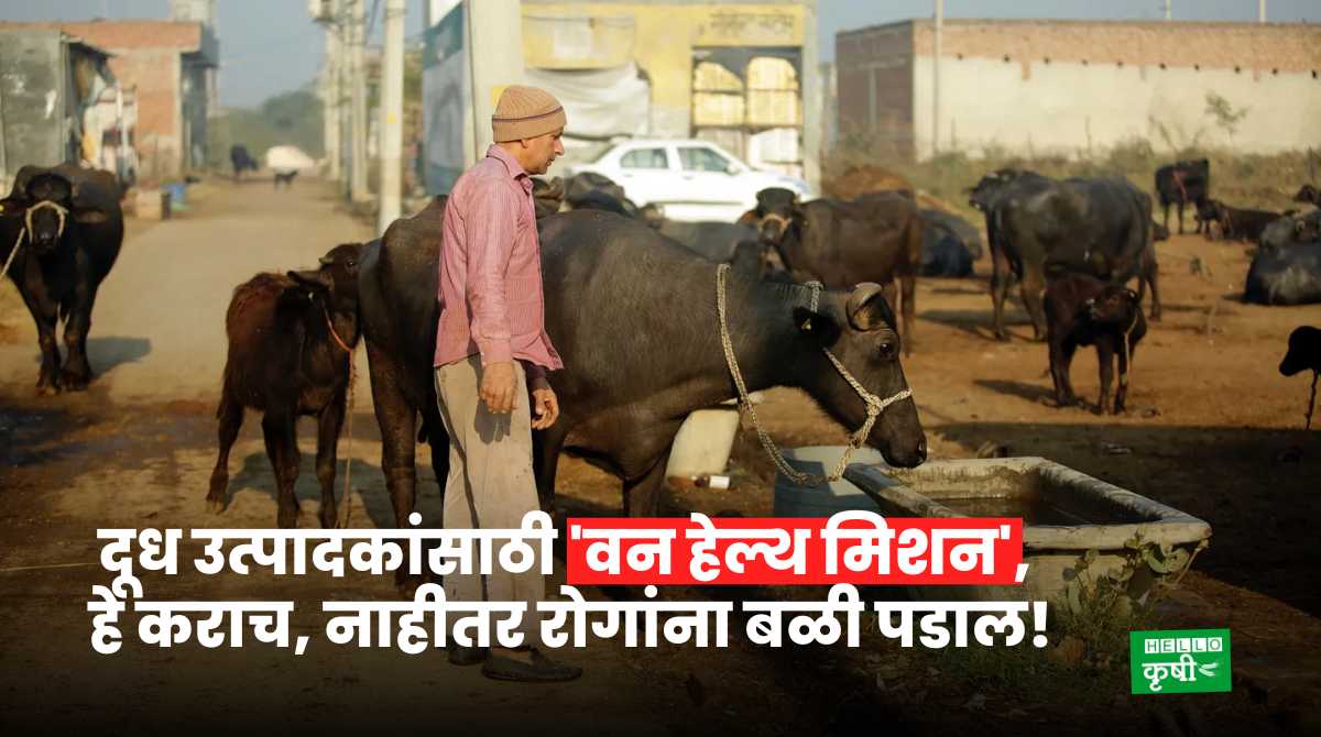 Dairy Farming One Health Mission