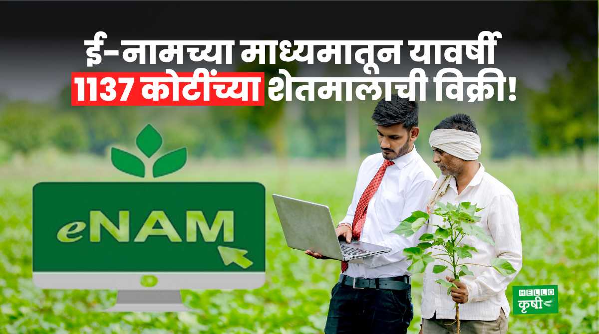 E-NAM 1137 Crore Worth Of Agri Products
