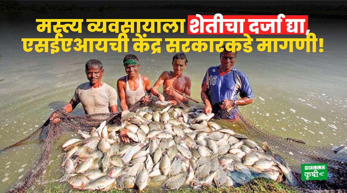 Fishery Business Status Of Agriculture