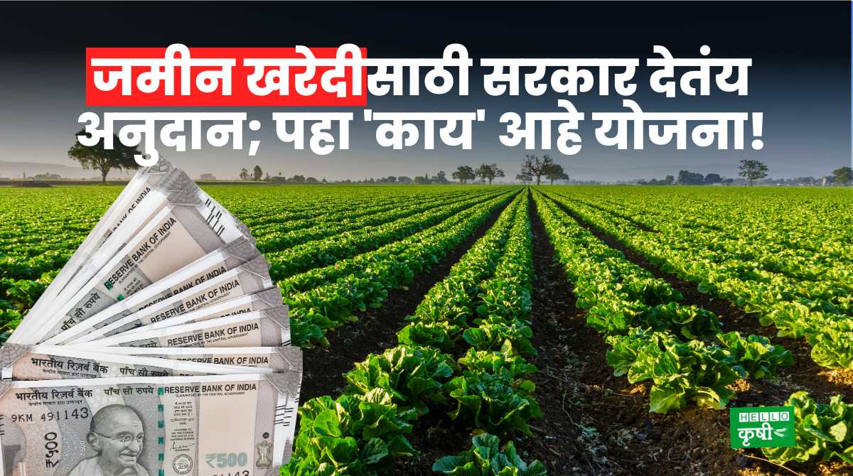 Land Purchase Government Subsidy Scheme