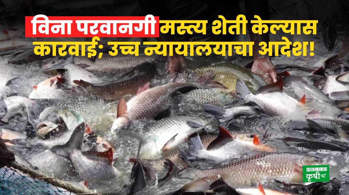 Madras High Court On Fish Farming