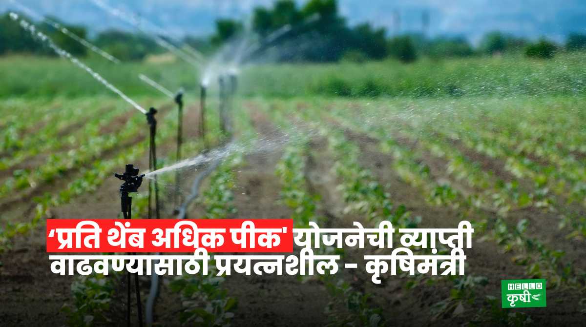 Micro Irrigation Scheme In Maharashtra