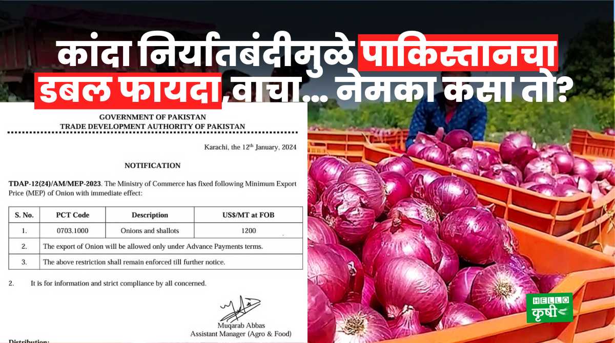 Onion Export Ban Pakistan Double Gains