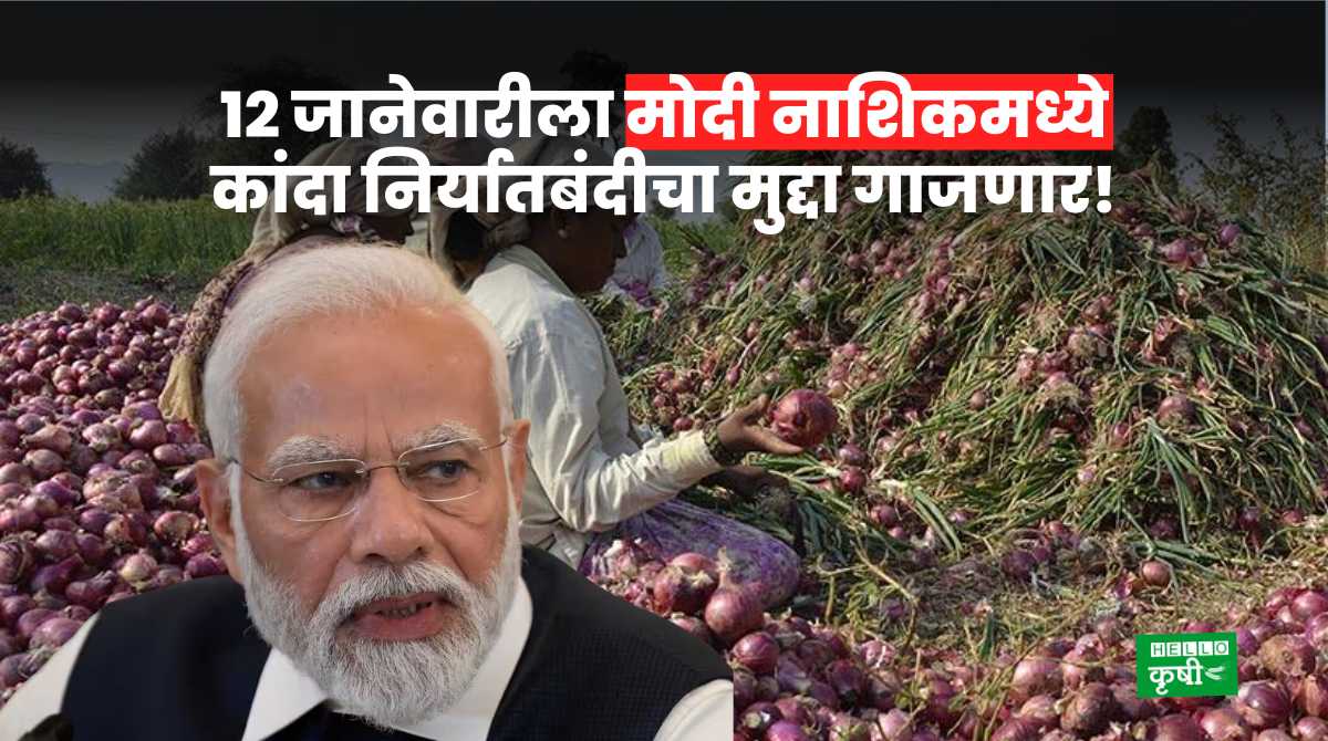 Onion Export Ban PM Modi in Nashik