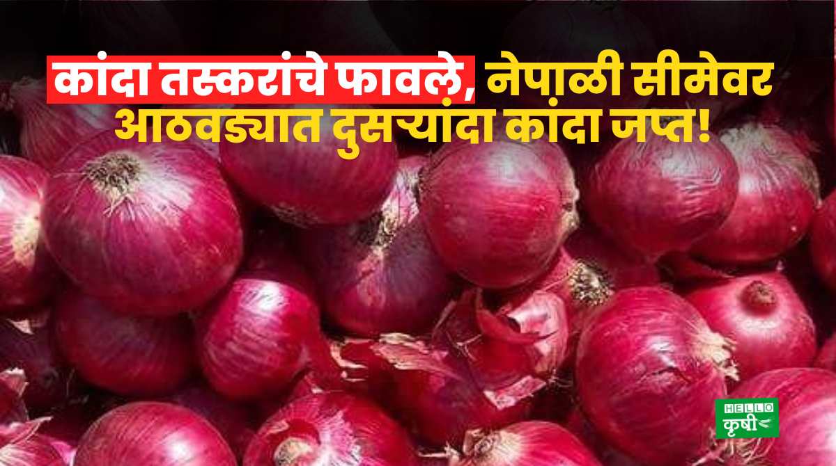 Onion Smuggling On Nepal Border