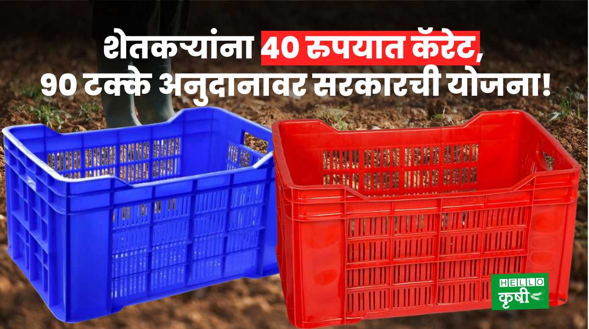 Plastic Crates To Farmers At Rs 40