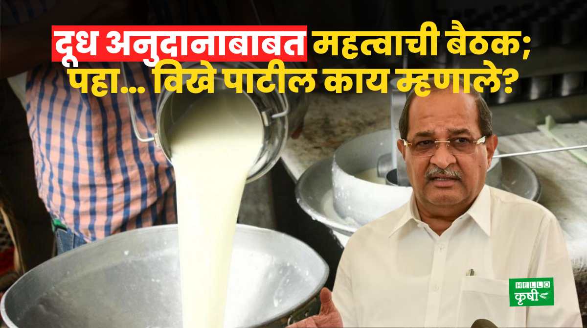 Radhakrishna Vikhe patil On Milk Subsid