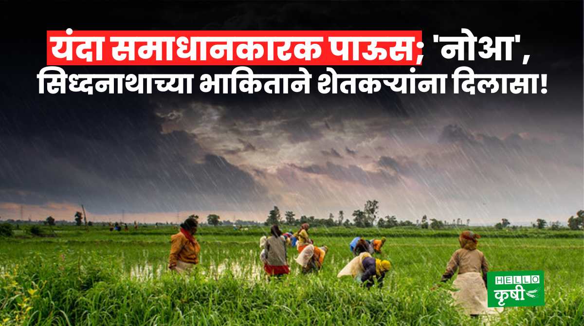 Rain Forecast Relief To Farmers
