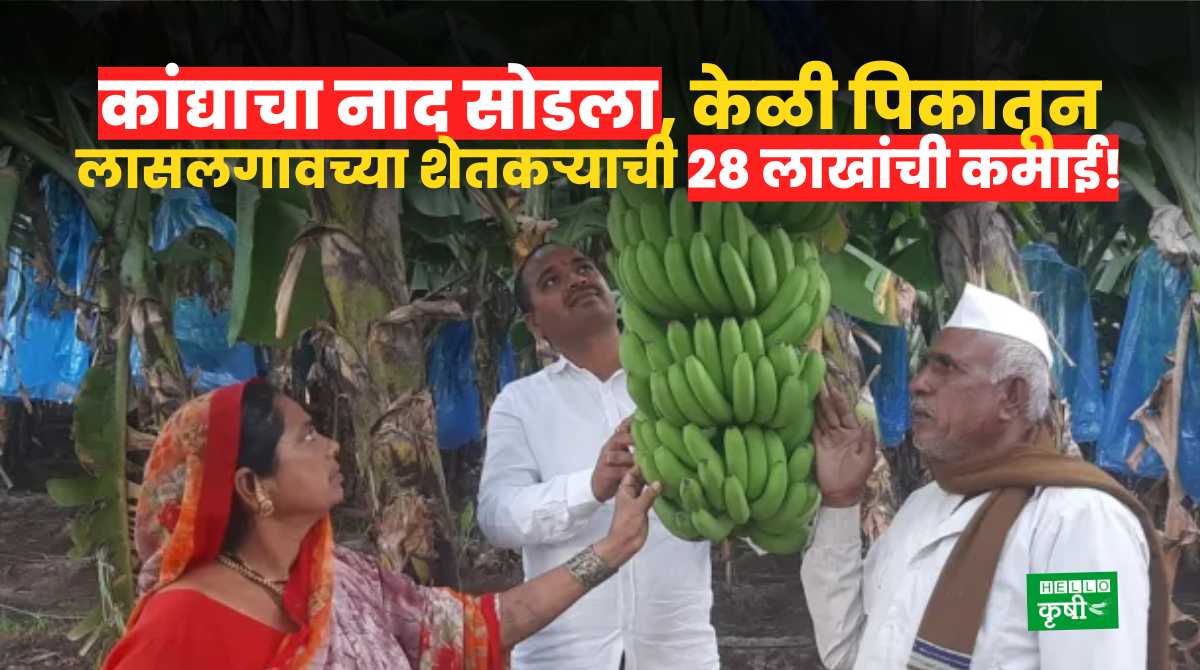 Success Story Of Banana Farmers