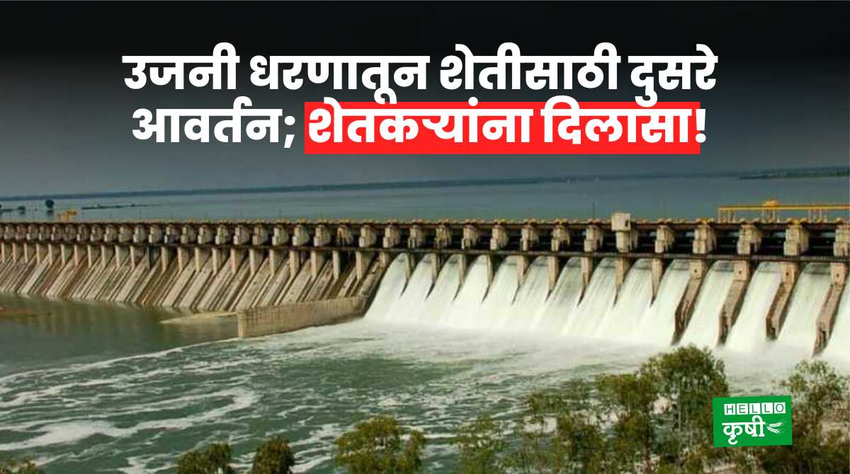 Ujjani Dam Second Diversion For Agriculture