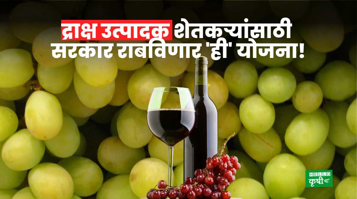 Wine Industry Govt Scheme