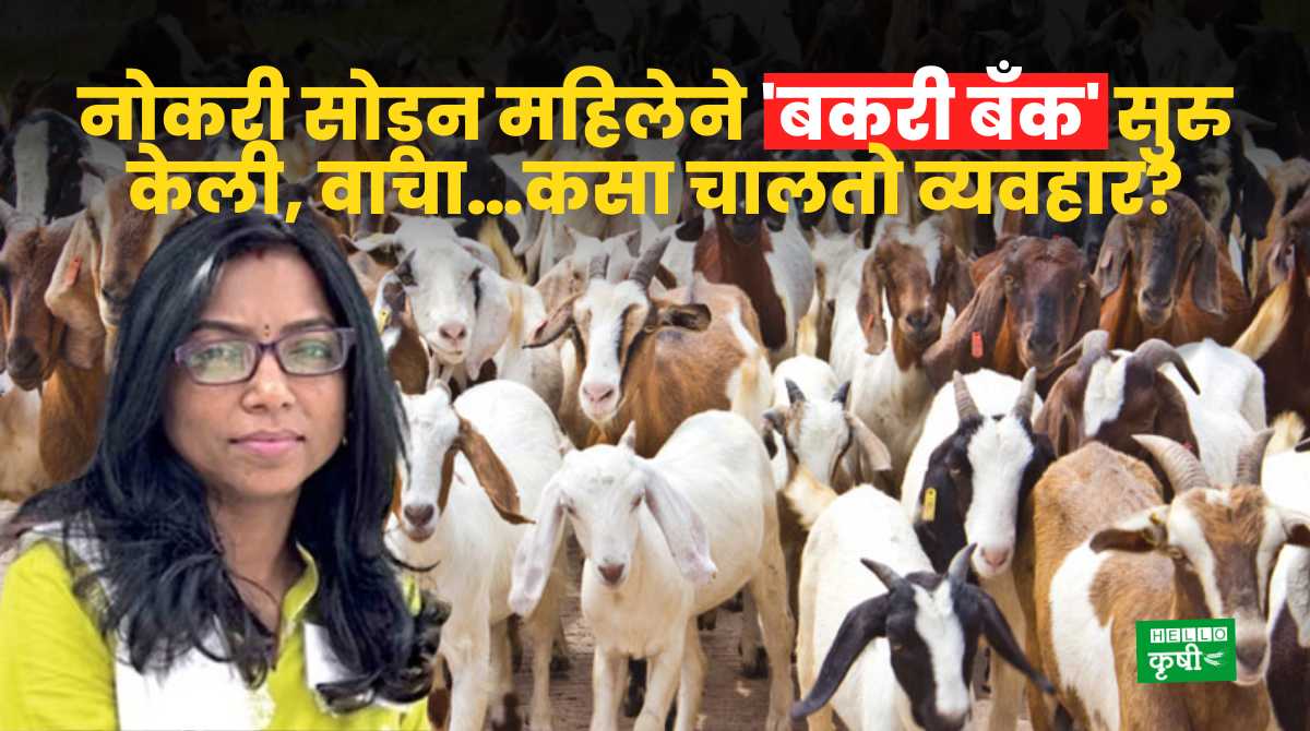 Agri Business Woman Starts Goat Bank