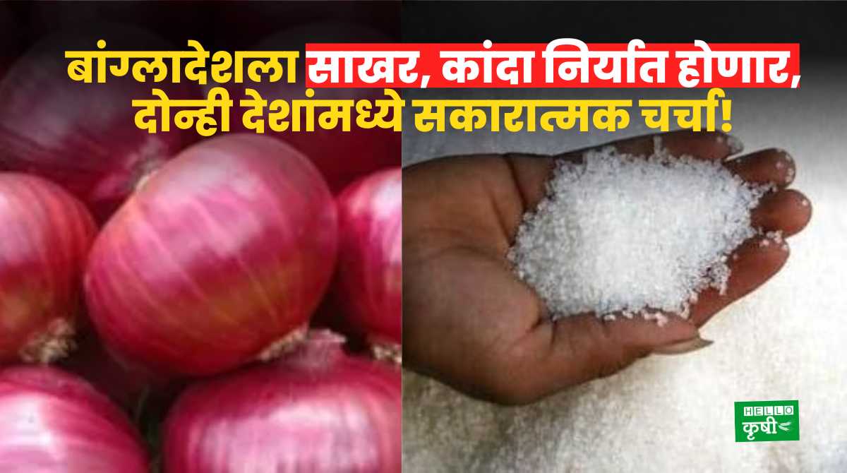 Agri Export Sugar, Onion To Bangladesh