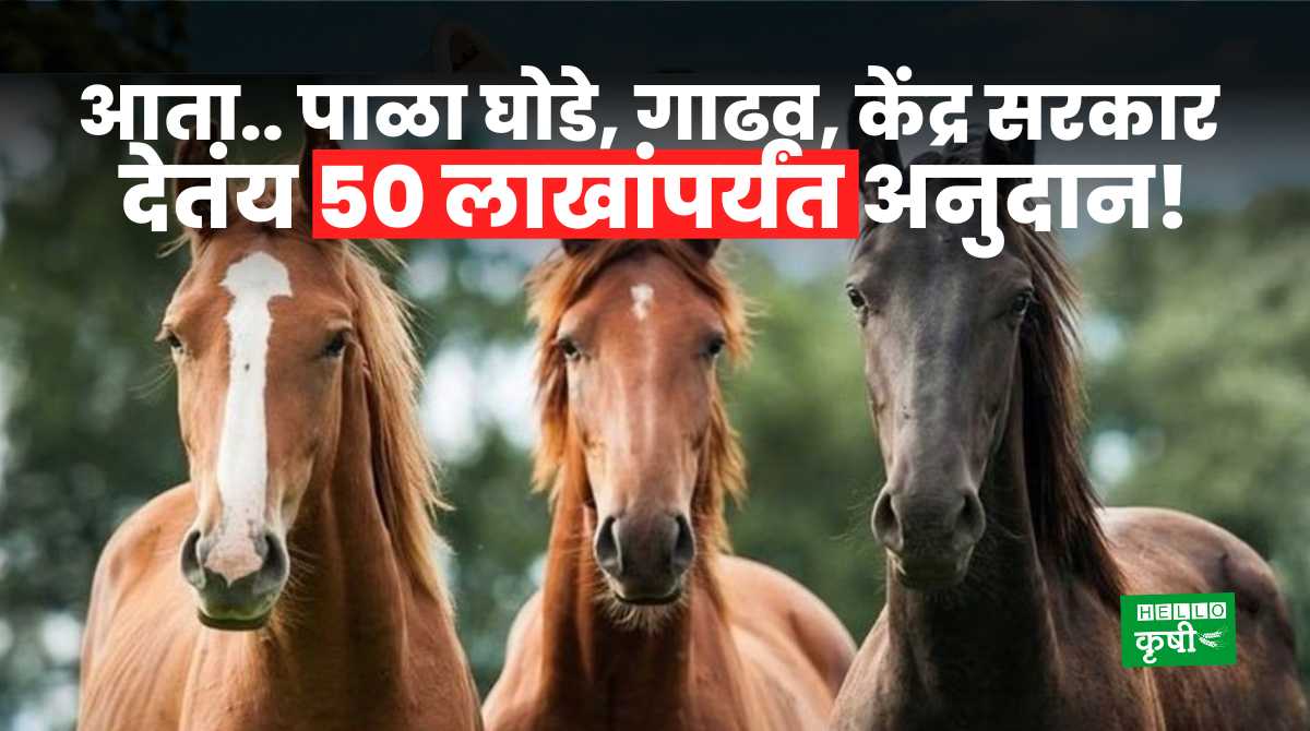 Animals Subsidy Scheme From Govt