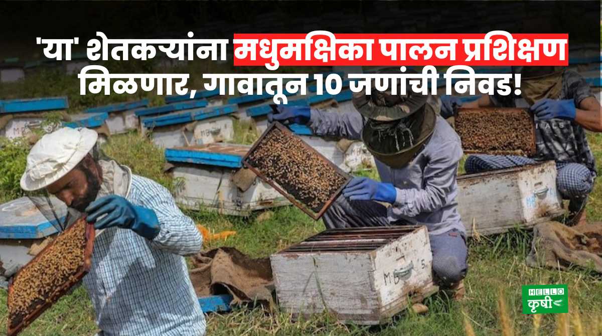 Honey Bee Keeping Training For Farmers