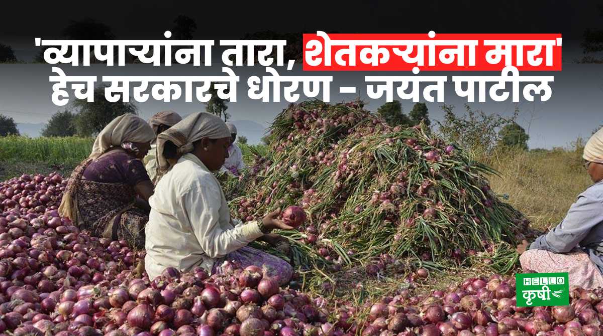Jayant Patil Criticism On Onion Export Ban