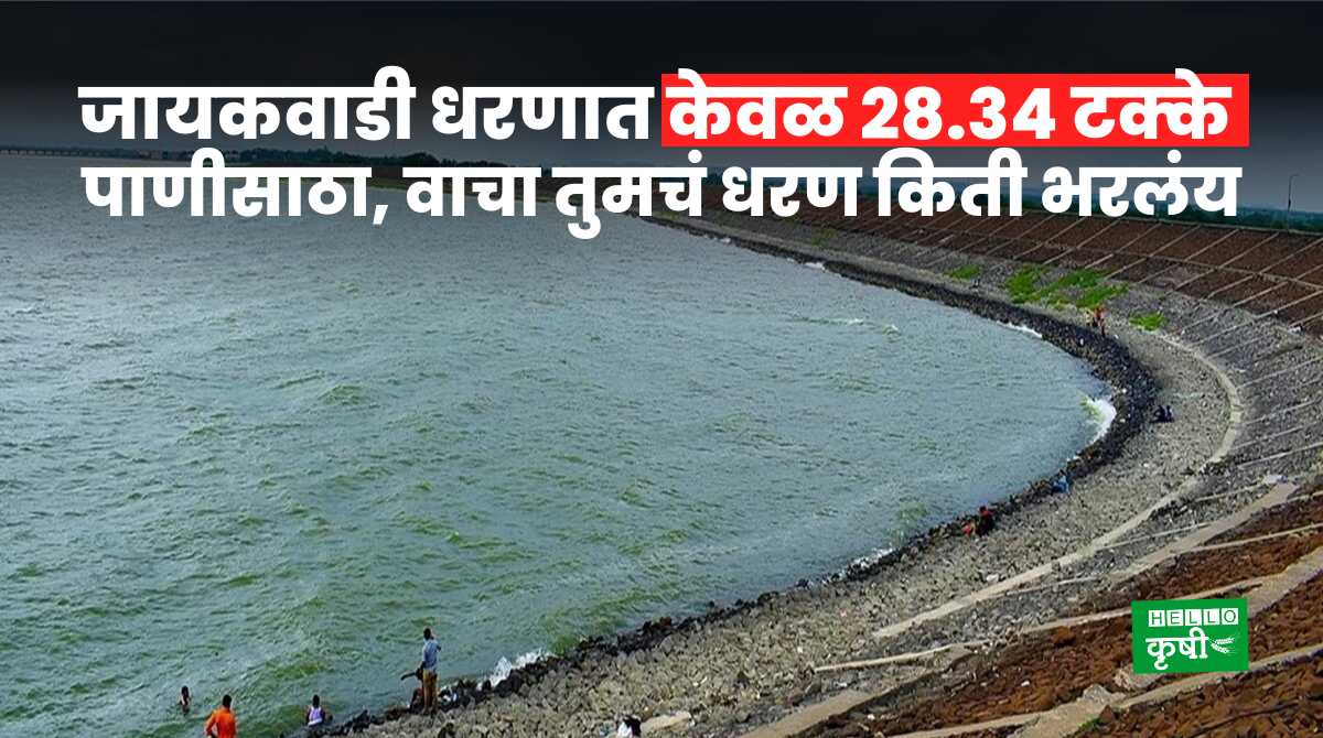 Maharashtra Dam Storage Today