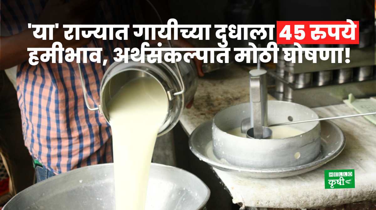 Milk MSP In Himachal Pradesh