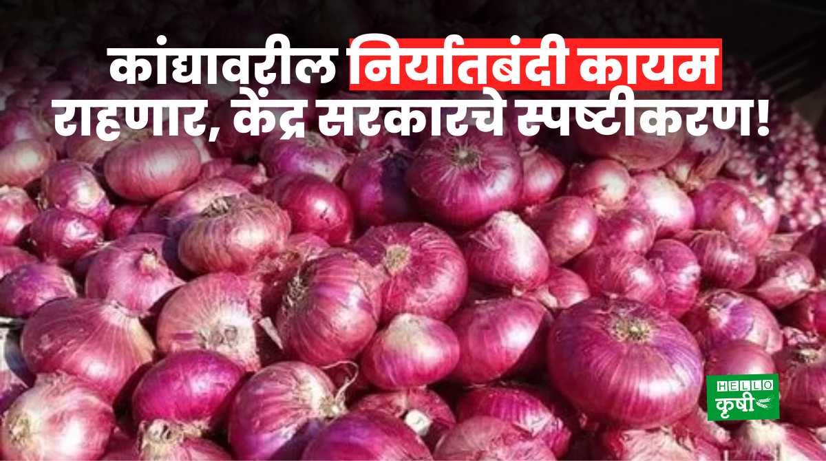 Onion Export Ban Continue Till 31 March