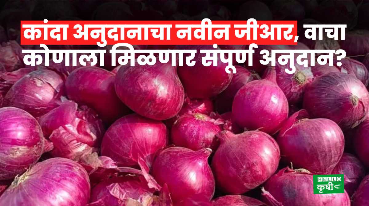 Onion Subsidy New GR