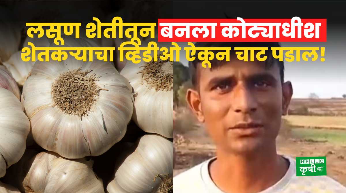 Success Story Farmer Turned Millionaire From Garlic Farming