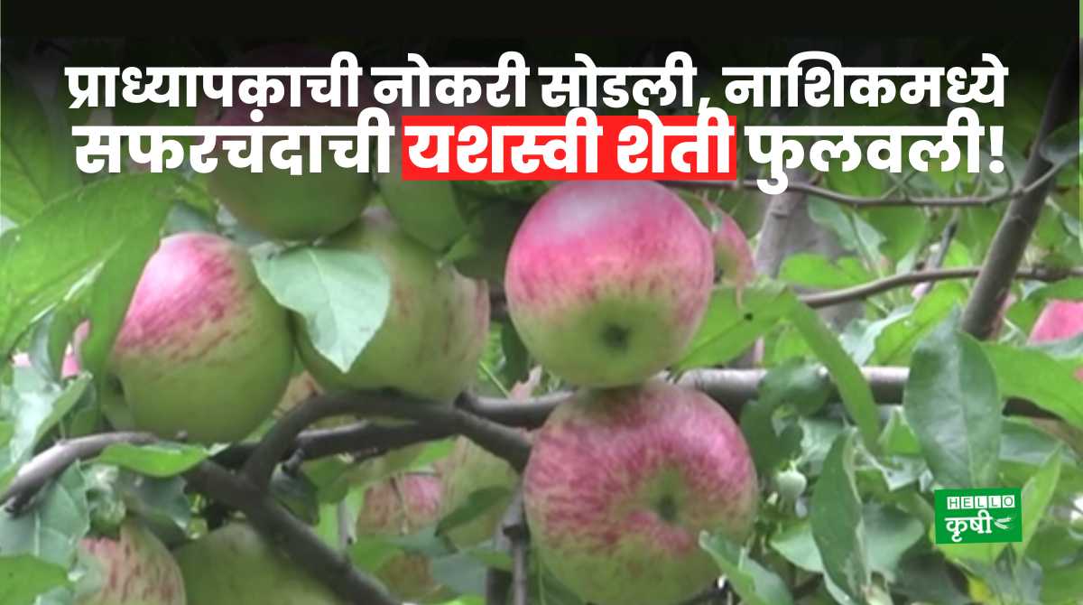 Success Story Of Apple Farming