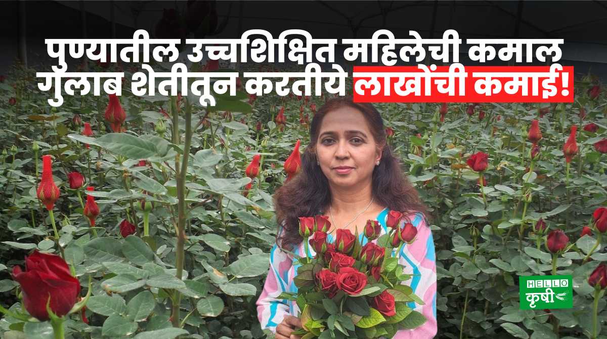 Success Story Of Gulab Flower Farming