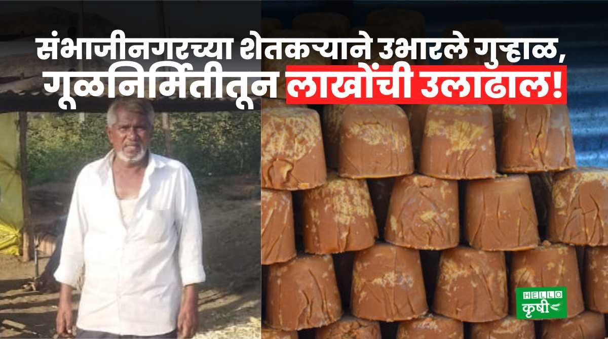 Success Story Of Jaggery Business