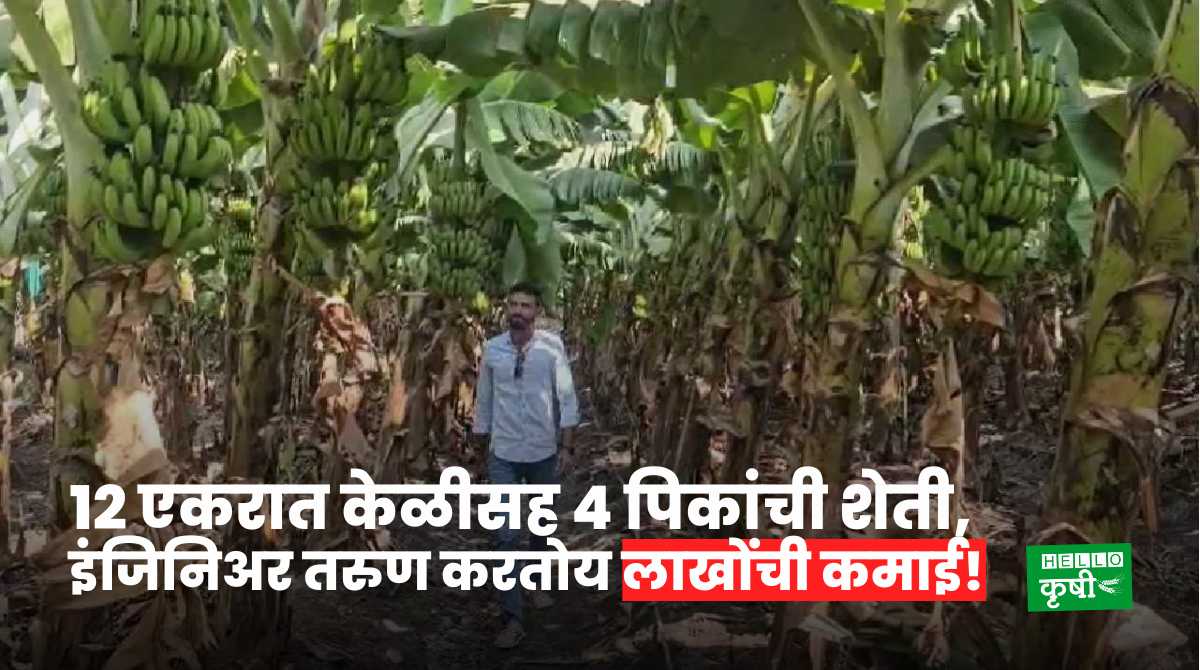 Success Story Of Nandurbar Farmer