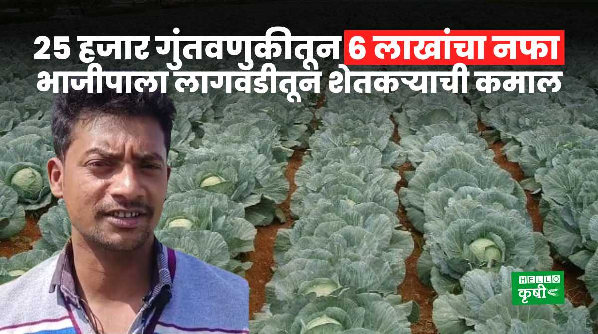 Success Story Of Vegetable Cultivation