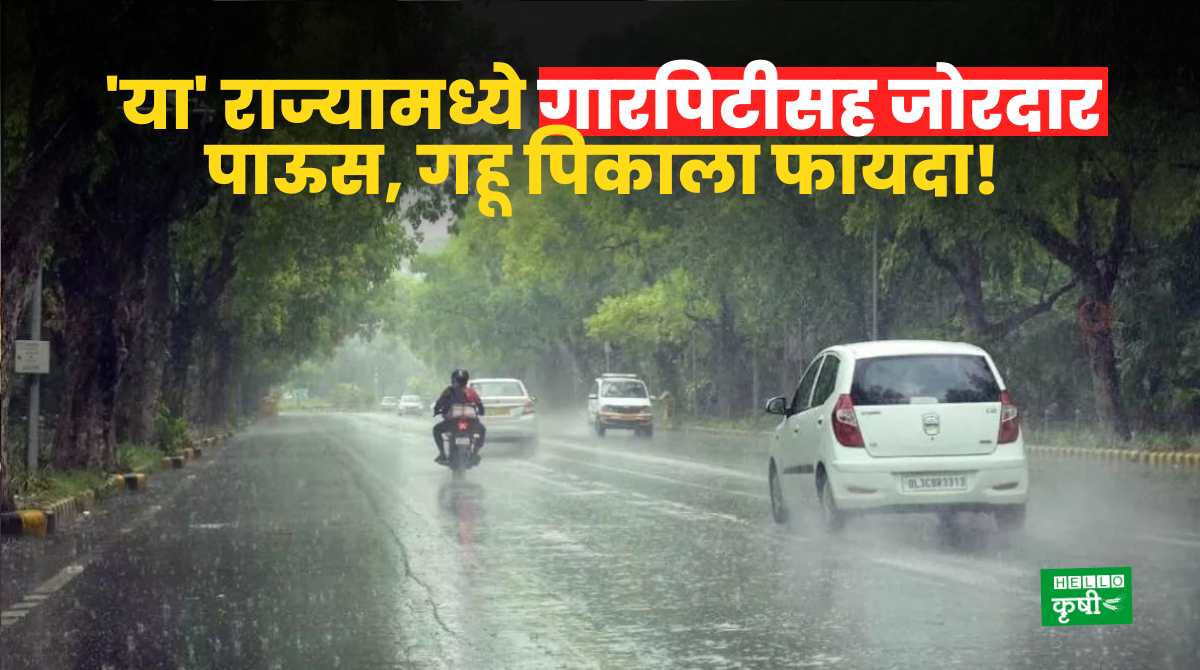 Weather Update Heavy Rain In Punjab