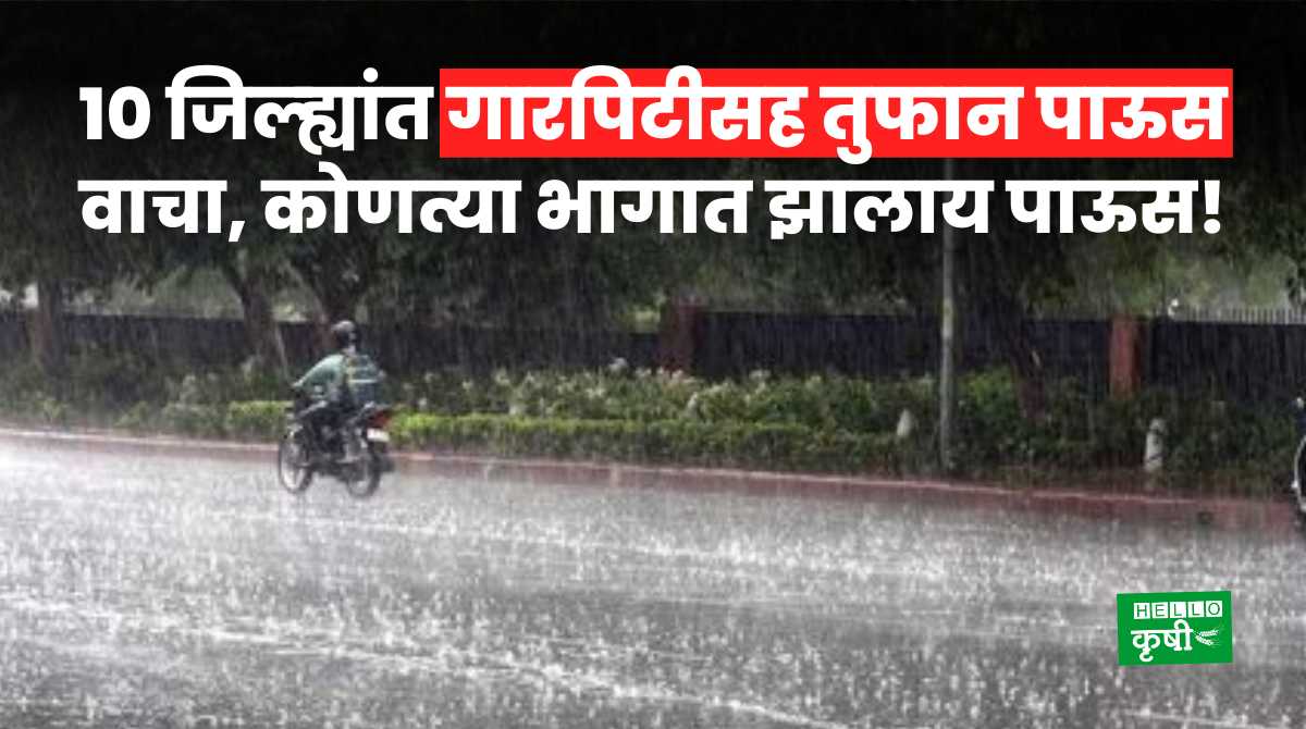 Weather Update In Maharashtra Today 27 Feb 2024