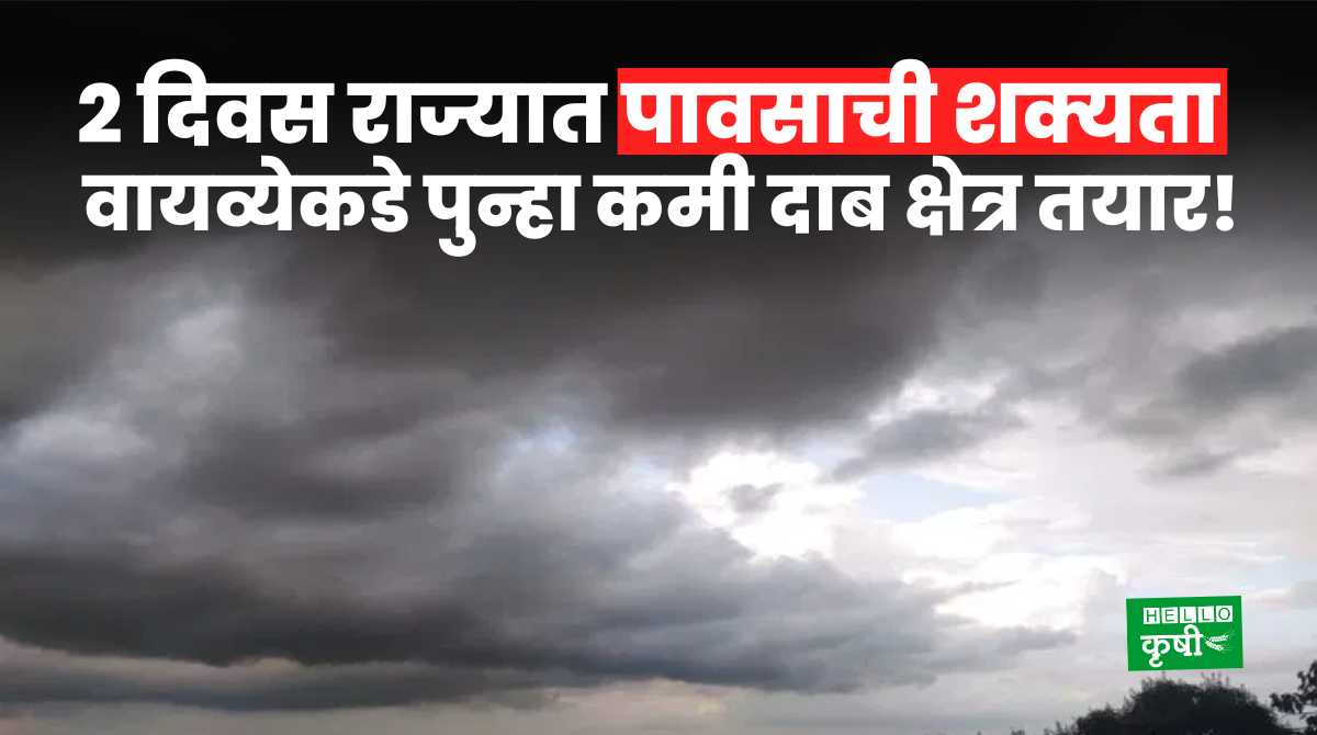 Weather Update In Maharashtra